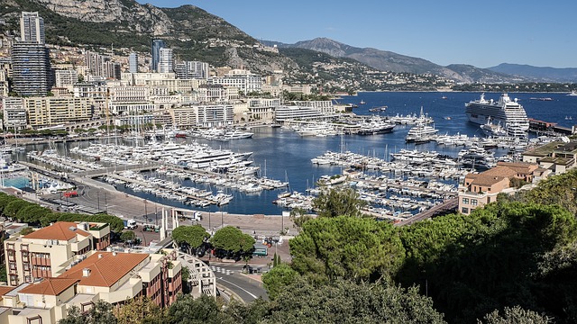 The Portfolio Series - Part 1: Monte Carlo Simulation - Speed To Freedom
